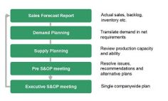 Sales & Operations Planning process