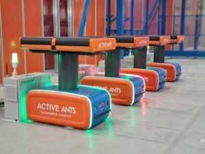 Future of E-fulfilment presentation download